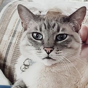 Meet your Posher, Janelle